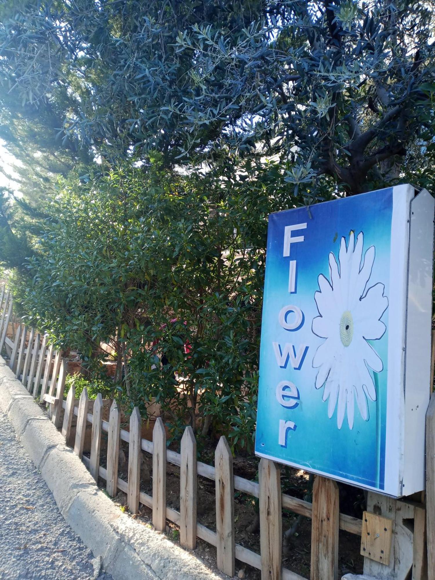Flower 2 Jarash Exterior photo